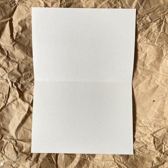 4ct Assortment of Colorado Cards and Envelopes - Picture 12 of 16